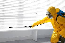 Best Residential Pest Control  in New York Mills, MN